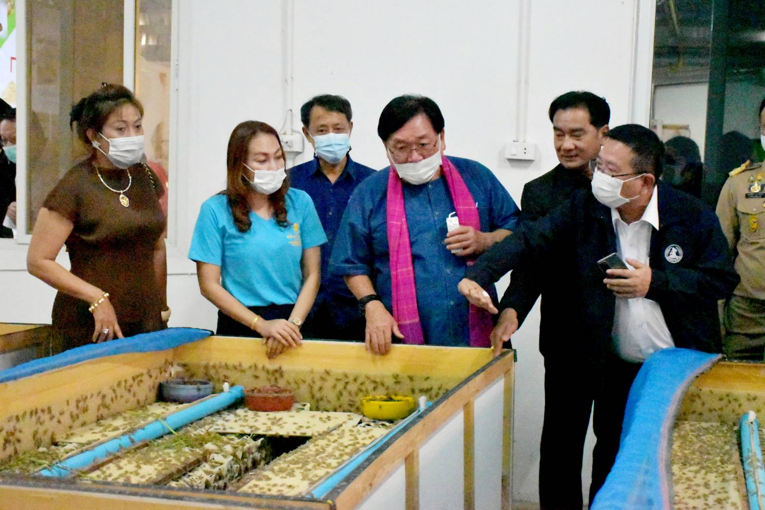 ข่าวการเกษตร - มกอช. ยกนิ้ว  จิ้งหรีดแปลงใหญ่ท่าชัย  พร้อมดันขยายลูกฟาร์มมาตรฐาน