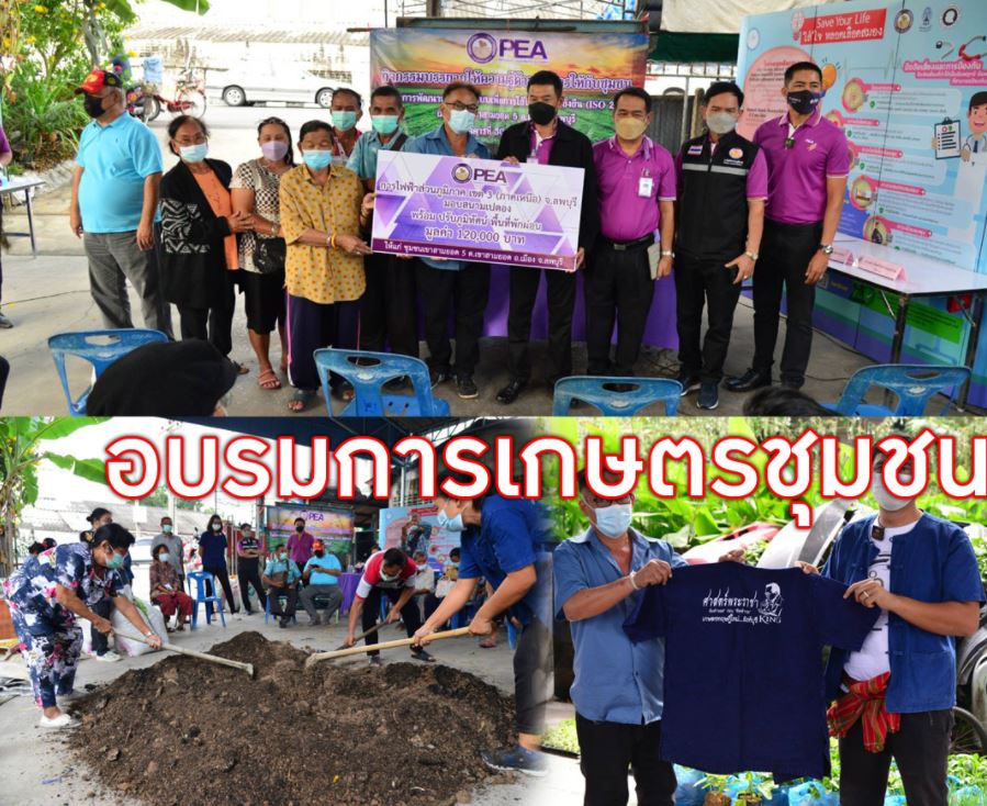ข่าวการเกษตร - กฟภ.จัดบรรยายให้ความรุ้ด้านการเกษตร ให้ชุมชนเขาสามร้อยยอดปลูกผัก