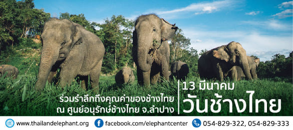 ข่าวพลังงาน, สิ่งแวดล้อม - อ.อ.ป. จัดกิจกรรม วันช้างไทย 13 มีนาคม สไตล์ นิวนอร์มอล ลดเสี่ยง-เลี่ยงติดเชื้อโควิด-19