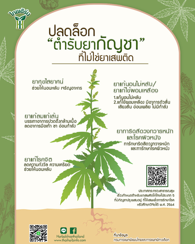 ข่าวสินค้า, บริการ - ไทยเฮิร์บ เปิดตำรับยากัญชา พร้อมร่วมงานประชุม กัญชาทางการแพทย์ ทั่วประเทศ     