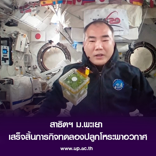 ข่าวการศึกษา - สาธิตฯ ม.พะเยา เสร็จสิ้นภารกิจทดลองปลูกโหระพาอวกาศ เตรียมสรุปผลการทดลองส่งรายงาน AHiS 