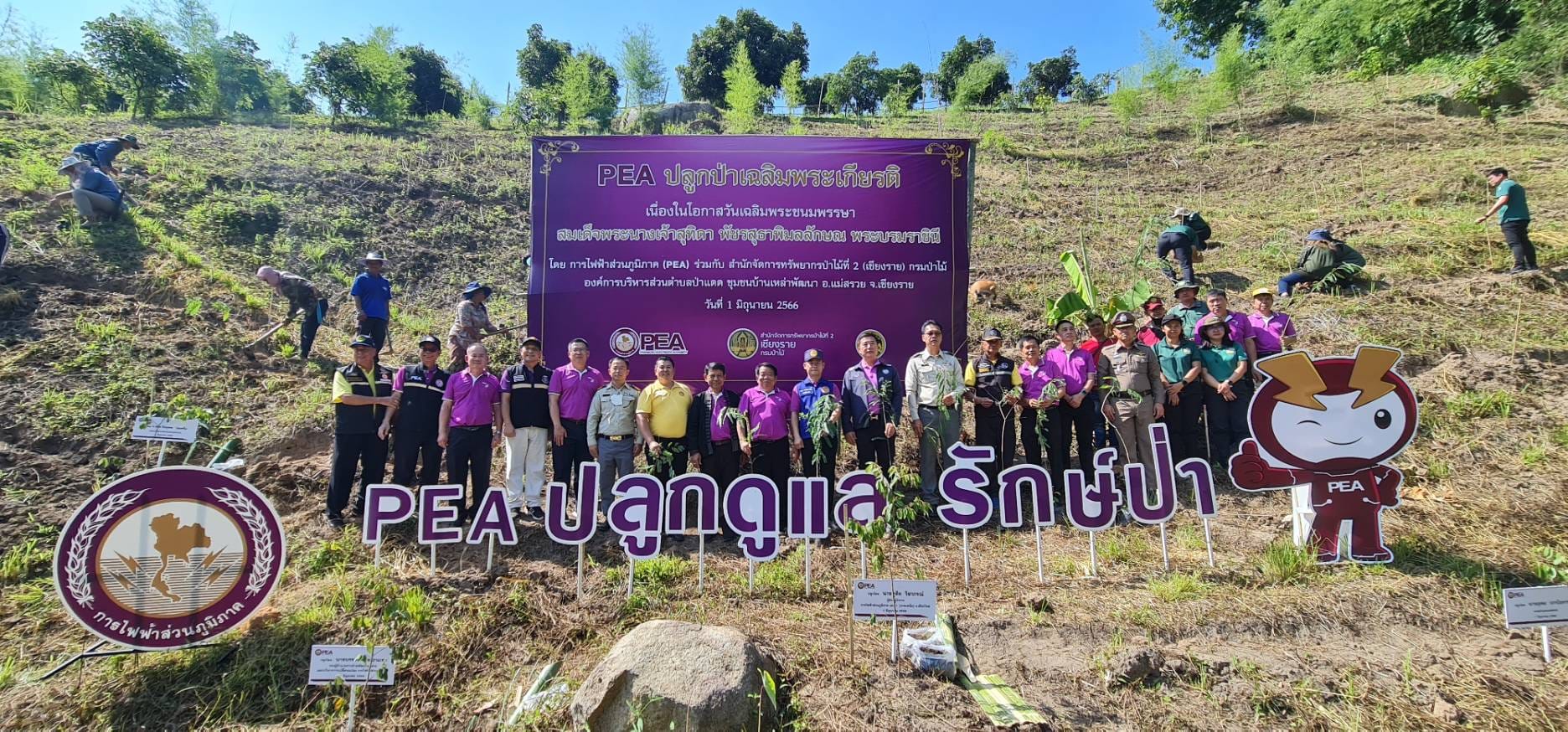 ข่าวราชการ, รัฐวิสาหกิจ - การไฟฟ้าส่วนภูมิภาค จัดโครงการ PEA ปลูก ดูแล รักษ์ป่า ชุมชน เพื่อเฉลิมพระเกียรติเนื่องในโอกาสวันเฉลิมพระชนมพรรษาสมเด็จพระนางเจ้า พระบรมราชินี 3 มิถุนายน