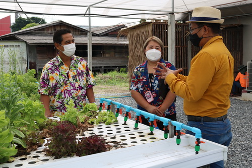ข่าวราชการ, รัฐวิสาหกิจ - พัฒนาแรงงานนนท์ เพิ่มทักษะปลูกผักไฮโดรโปนิกส์ 