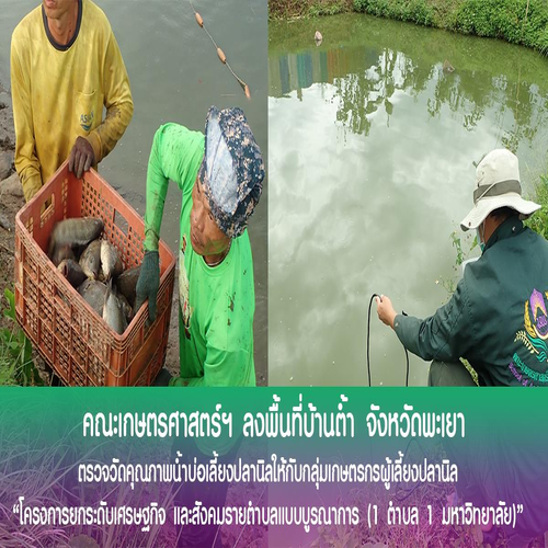 ข่าวพลังงาน, สิ่งแวดล้อม - คณะเกษตรฯ ม.พะเยา ลงพื้นที่ ตรวจวัดคุณภาพน้ำบ่อเลี้ยงปลานิลให้กับกลุ่มเกษตรกรผู้เลี้ยงปลานิล