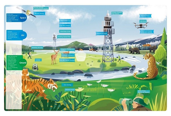 ข่าวไลฟ์สไตล์ - หัวเว่ย, IUCN และพันธมิตรระดับโลก เน้นย้ำการใช้เทคโนโลยีล่าสุดเพื่อการปกป้องธรรมชาติ