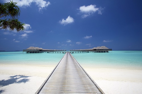 ข่าวไลฟ์สไตล์ - Minor Hotels Celebrates 27 Accolades at the 2023 Travel+Leisure Luxury Awards Asia Pacific