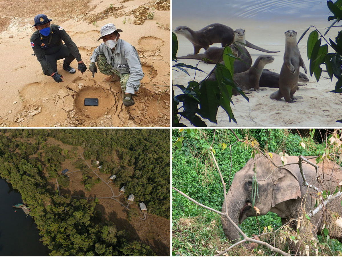 ข่าวพลังงาน, สิ่งแวดล้อม - Ecolodge in Cambodia Reports Successin  Nature Conservation