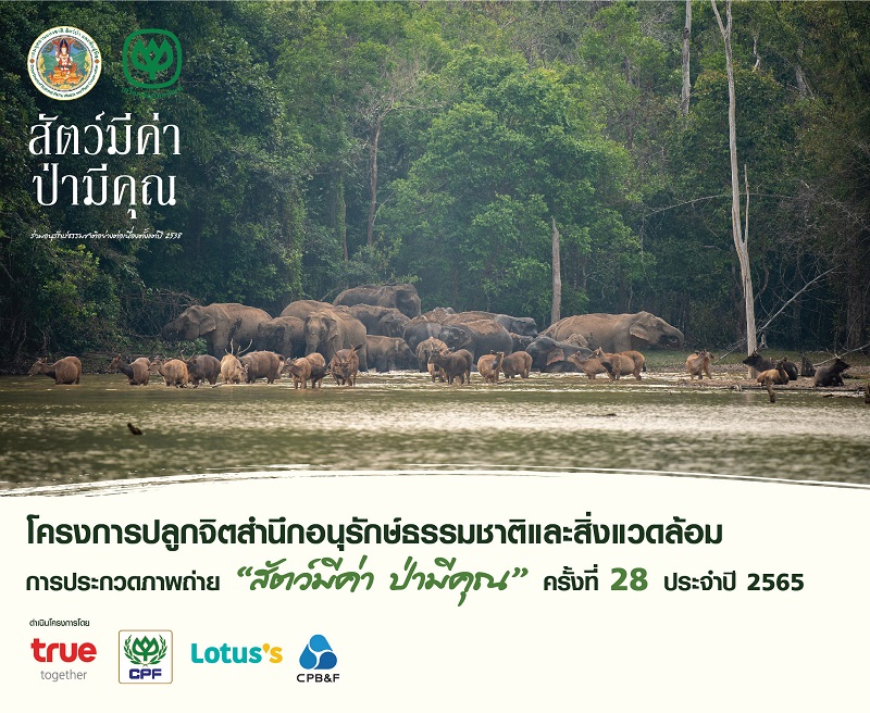 ข่าวการศึกษา - การประกวดภาพถ่าย สัตว์มีค่า ป่ามีคุณ คร้งที่ 28 ประจำปี 2565 