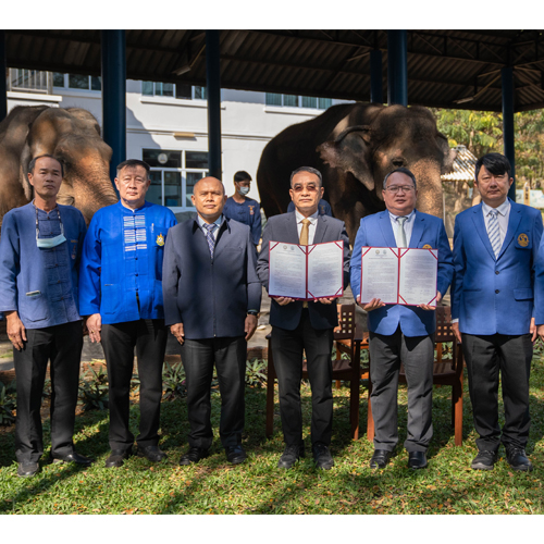 ข่าวประชาสัมพันธ์ - PR News อ.อ.ป. MOU อสส. มุ่งพัฒนาองค์ความรู้ด้านงานวิชาการ - วิจัยสัตวแพทย์ ช้างไทย ...