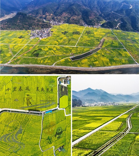 ข่าวท่องเที่ยว - มณฑลกุ้ยโจวชวนนักท่องเที่ยวสัมผัสฤดูใบไม้ผลิท่ามกลางทุ่งดอกเรพซีดสวยงามตระการตา
