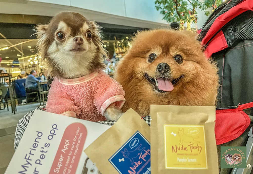 ข่าวสัตว์เลี้ยง - MyFriend แอปพลิเคชันดูแลสัตว์เลี้ยงครบวงจร ชวนเที่ยวงาน หมาติดเที่ยว ที่ เค วิลเลจ สุขุมวิท 26