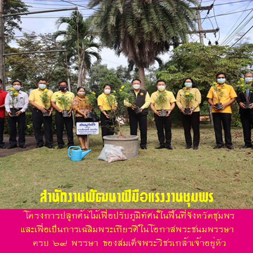 ข่าวราชการ, รัฐวิสาหกิจ - โครงการปลูกต้นไม้เพื่อปรับภูมิทัศน์ในพื้นที่จังหวัดชุมพร