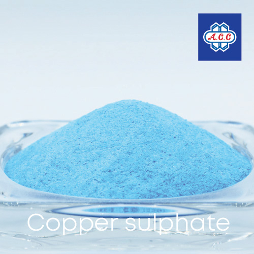 ข่าวธุรกิจ, สังคม - คอปเปอร์ซัลเฟตกำจัดเชื้อราและแบคทีเรีย