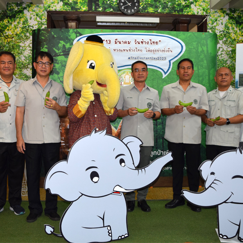 ข่าวประชาสัมพันธ์ - PR News อ.อ.ป. จัดกิจกรรมวันช้างไทย ประจำปี 2566 ปลุกจิตสำนึก อนุรักษ์ หวงแหนช้างไทย