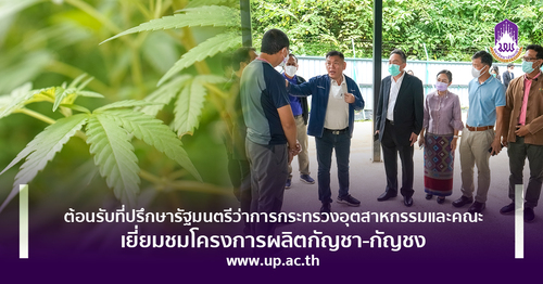 ข่าวการศึกษา - ม.พะเยา ต้อนรับที่ปรึกษารัฐมนตรีว่าการกระทรวงอุตสาหกรรมและคณะ เยี่ยมชมโครงการผลิตกัญชา กัญชง