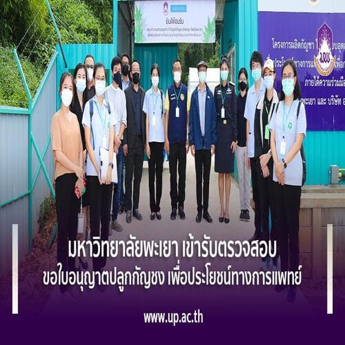 ข่าวการศึกษา - มหาวิทยาลัยพะเยา เข้ารับตรวจสอบขอใบอนุญาตปลูกกัญชง  เพื่อประโยชน์ทางการแพทย์