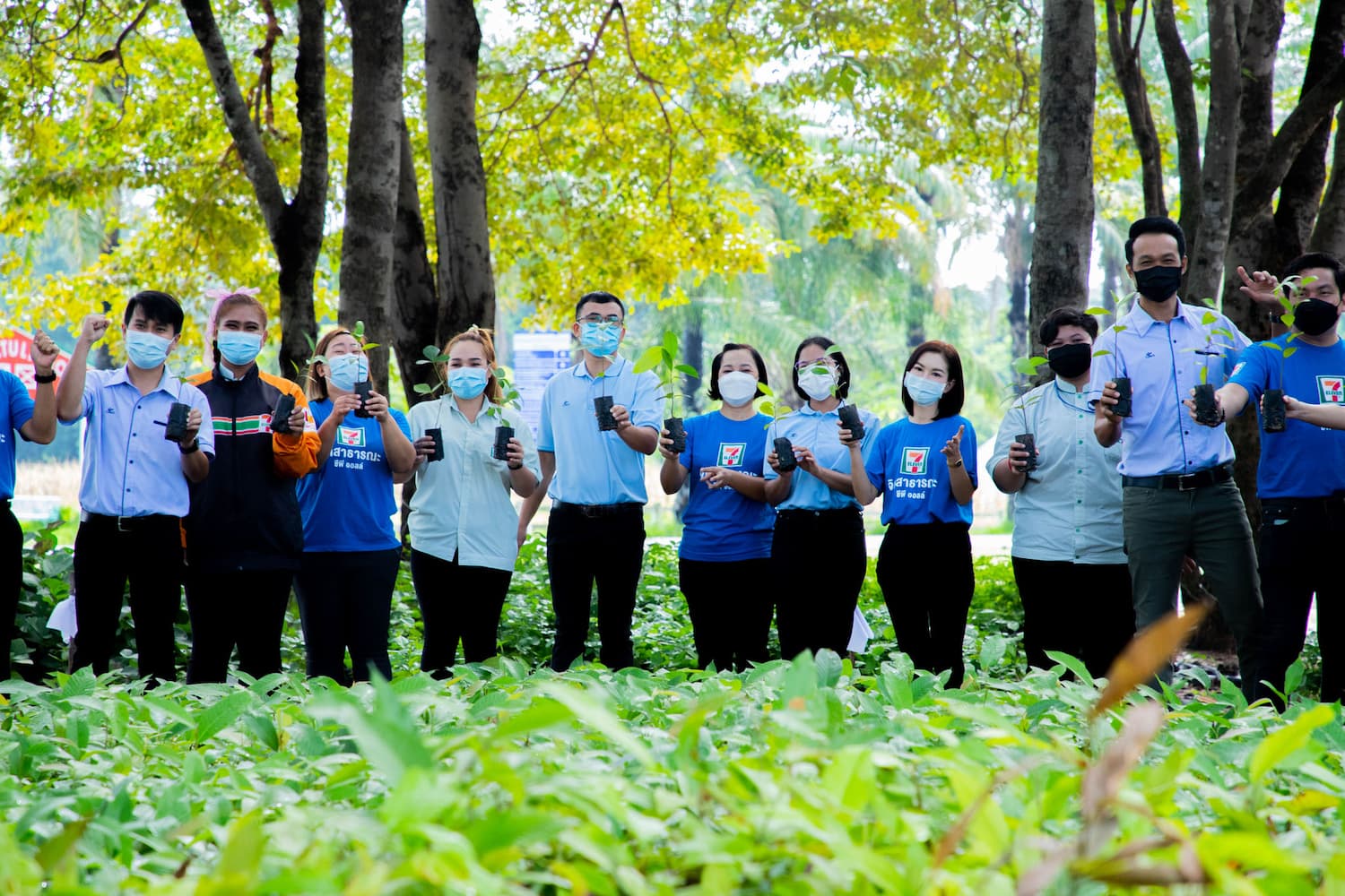 ข่าวพลังงาน, สิ่งแวดล้อม - เพิ่มพื้นที่สีเขียวใน 4 จังหวัดภาคอีสาน เซเว่นส่งมอบกล้าไม้? 120,000? ต้น? สู่วัดและชุมชน ลดภาวะโลกรวน ในโครงการ ปลูกป่า ปลูกอนาคต