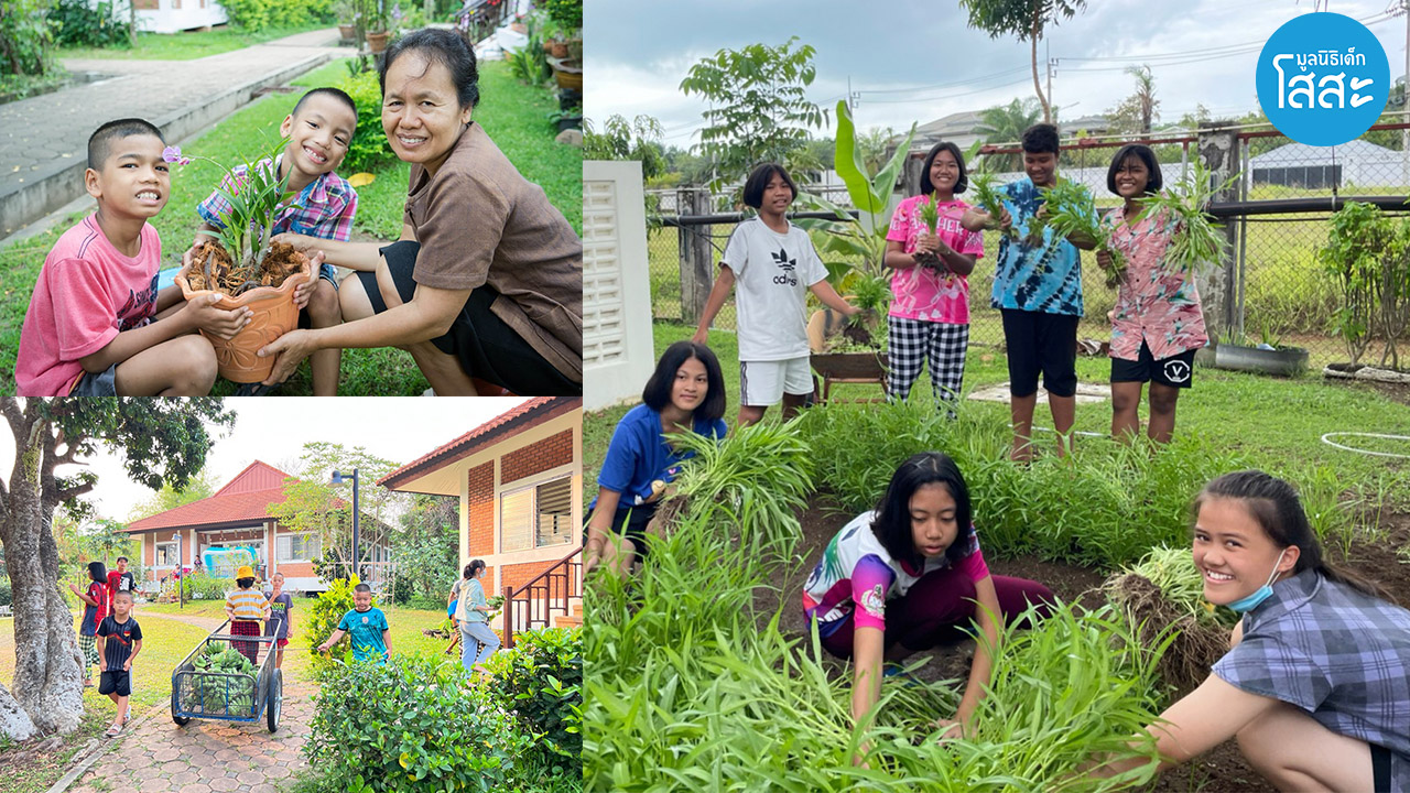 ข่าวพลังงาน, สิ่งแวดล้อม - มูลนิธิเด็กโสสะฯ ลงมือแล้ว เพิ่มพื้นที่สีเขียวเพื่อสิ่งแวดล้อม และพึ่งพาตนเองอย่างยั่งยืน
