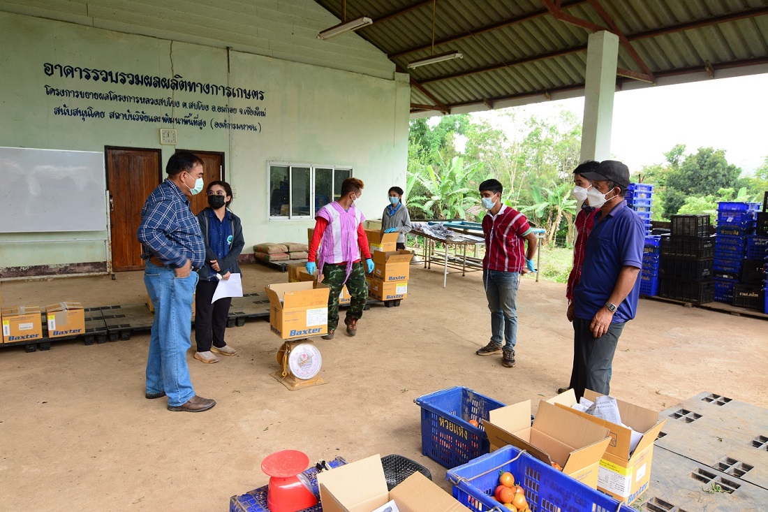 ข่าวการเกษตร - สบโขง กลยุทธ์หยุดหมอกควัน ปลอดการเผา บนพื้นที่สูง ต.สบโขง อ.ออมก๋อย จ.เชียงใหม่ ด้วยหลักการโครงการหลวง