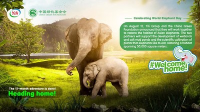 ข่าวอาหาร, เครื่องดื่ม - Yili ให้คำมั่นปกป้องถิ่นที่อยู่ของช้างป่า เนื่องในวันช้างโลกปี 2564