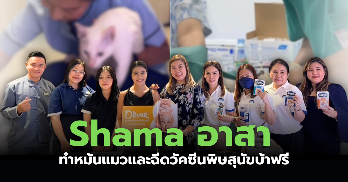 ข่าวสุขภาพ - Shama อาสา ทำหมันแมวและฉีดวัคซีนพิษสุนัขบ้า