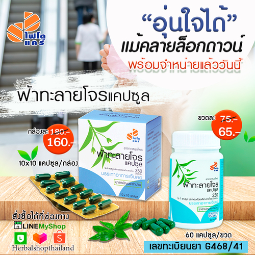 ข่าวสุขภาพ - ไทยเฮิร์บ อุ่นใจคลายล็อกดาวน์ พร้อมจำหน่ายฟ้าทะลายโจร  