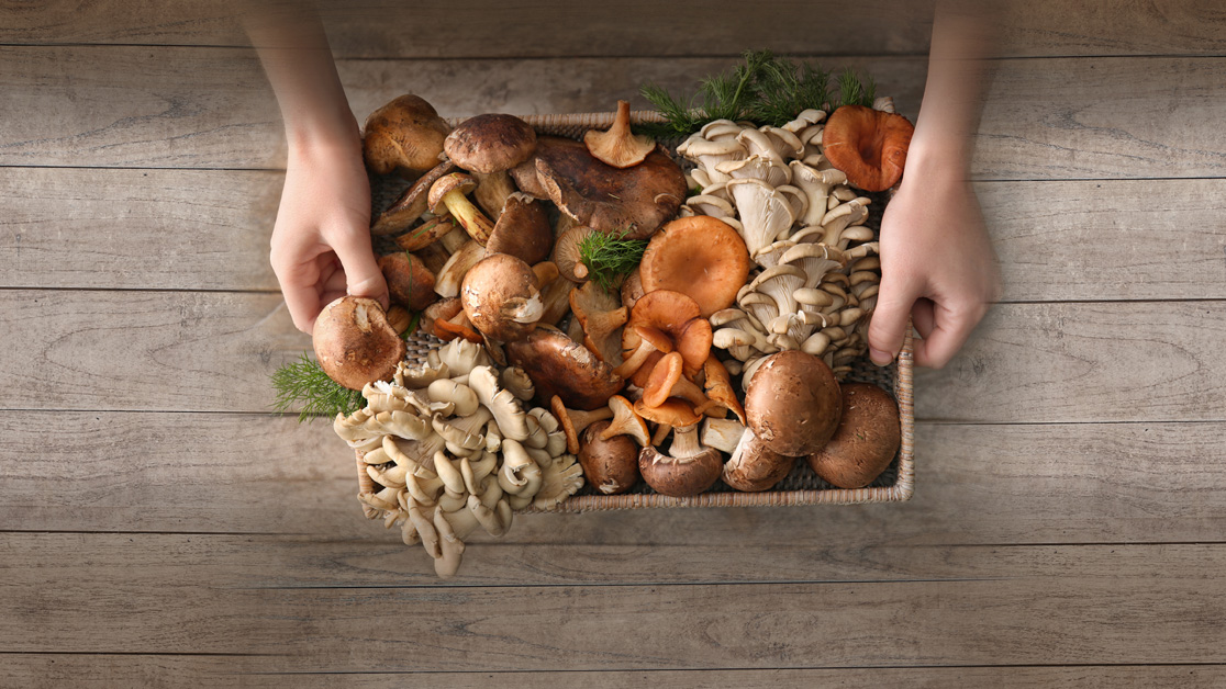 ข่าวอาหาร, เครื่องดื่ม - ?Taste of Mushroom? ความอร่อยจากวัตถุดิบเปี่ยมด้วยคุณประโยชน์ ที่โรงแรมโนโวเทล สุวรรณภูมิ แอร์พอร์ต เฉพาะ 20-26 ต.ค. นี้