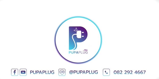 ข่าวราชการ, รัฐวิสาหกิจ - PEA เชิญท่านเป็นหุ้นส่วนทางธุรกิจ PUPAPLUG (ปู-ป้า-ปลั๊ก) เต้ารับสำหรับธุรกิจชาร์จรถไฟฟ้า