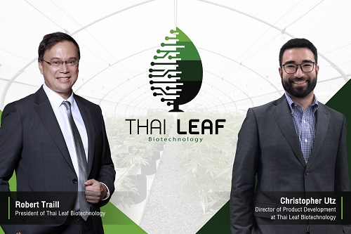 ข่าวสินค้า, บริการ - Thai Leaf aims for a breakthrough in Thailand healthcare industry with its high-quality CBD oil and CBD infused products.