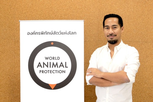 ข่าวการเกษตร - องค์กรพิทักษ์สัตว์แห่งโลกเปิดตัวแคมเปญสร้างระบบอาหารที่ยั่งยืน ผ่านการพัฒนาสวัสดิภาพสัตว์ฟาร์ม