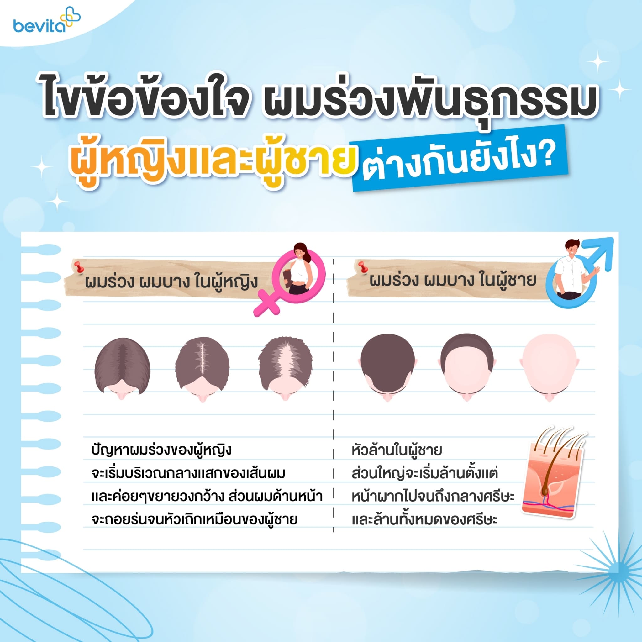 ข่าวสุขภาพ - ไขข้อข้องใจผมร่วงพันธุกรรมของผู้หญิงและผู้ชายต่างกันอย่างไร?