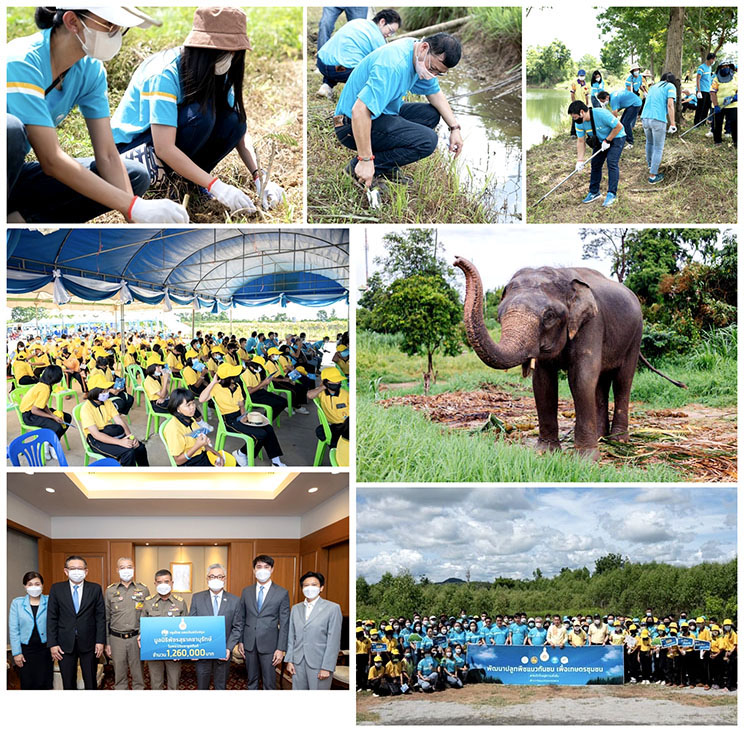 ข่าวประชาสัมพันธ์ - PR News กรุงไทยสานพลัง สร้างสมดุล คน สัตว์ ผืนป่า ด้วยพลังใจจิตอาสา VVE Vayu Volunteer