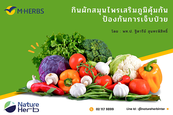 ข่าวสุขภาพ - แพทย์แนะกินผักสมุนไพรเสริมภูมิคุ้มกัน ป้องกันการเจ็บป่วย