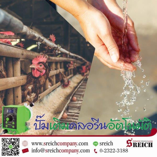 ข่าวการเกษตร - ฟีดปั๊ม ตัวช่วยเกษตรกรในการจ่ายวิตามินแก่ไก่ในฟาร์ม