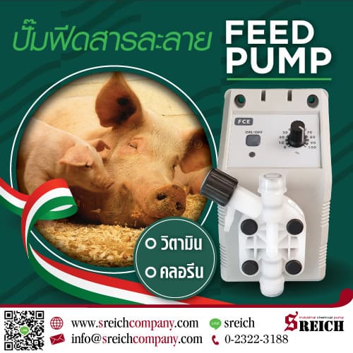 ข่าวธุรกิจ, สังคม - บำบัดน้ำเสีย ปรับสภาพน้ำเลี้ยงในฟาร์มหมูช่วยลดโอกาสเกิดโรคติดต่อ