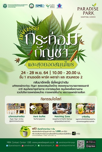 ข่าวกิจกรรม - พบพิธีเปิด งานมหัศจรรย์กระท่อมกัญชาและสุดยอดสมุนไพรไทย 25 พย.นี้
