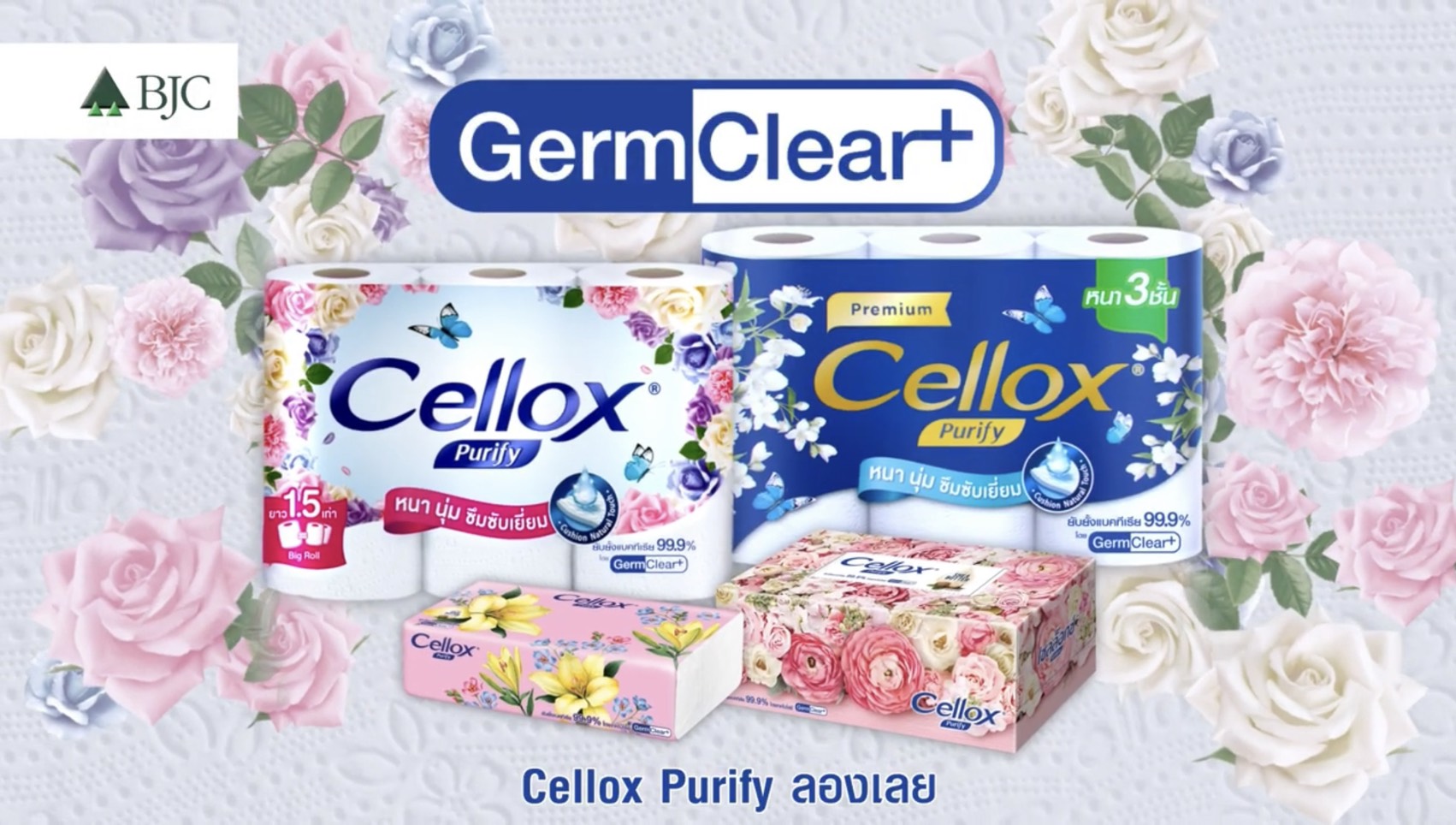 BJC เปิดตัว Cellox Purify ใหม่ ผสานพลัง GermClear+ ตัวจริงเรื่องการยั้บยังแบคทีเรียได้ถึง 99.9%