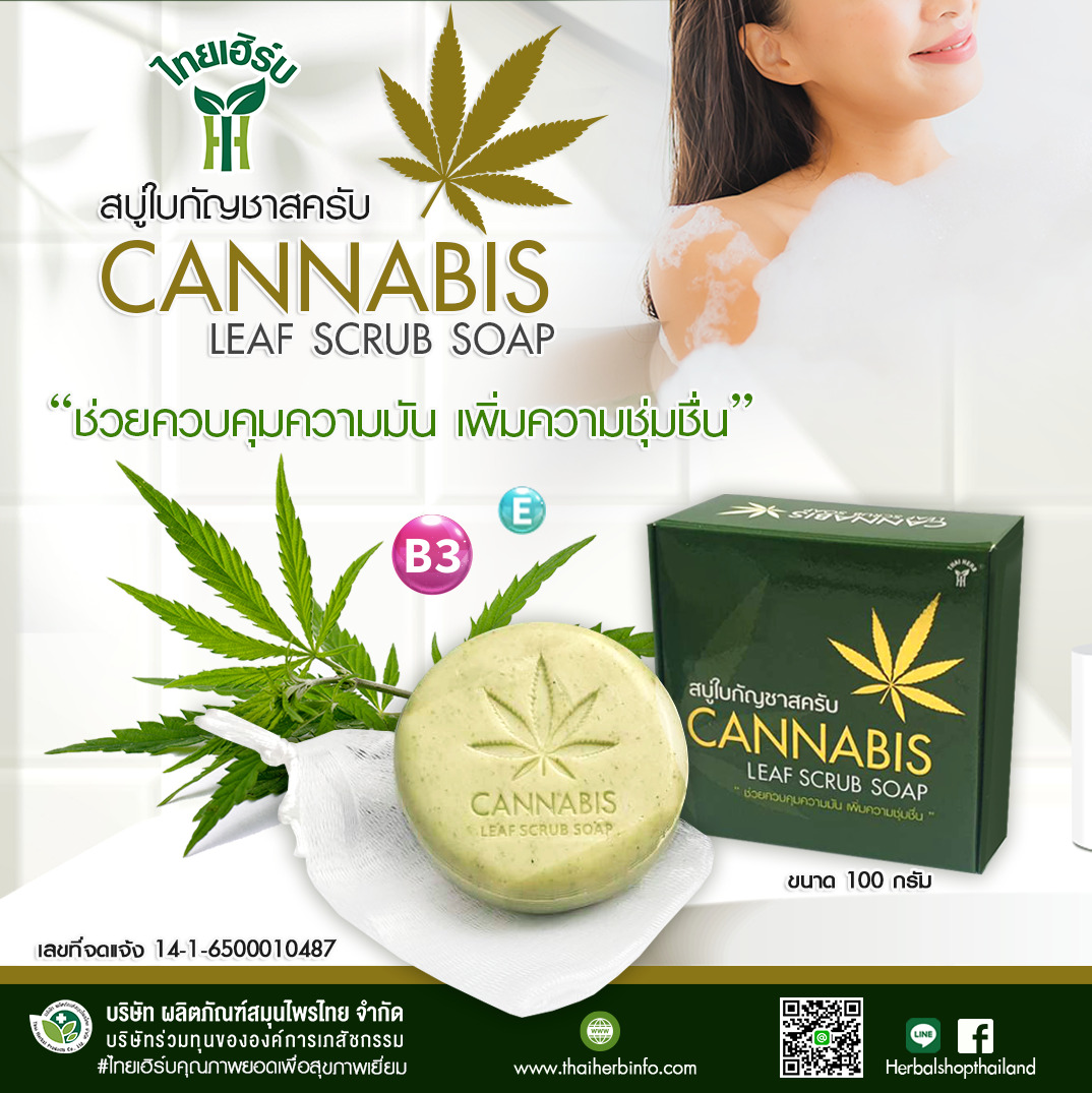 ข่าวสินค้า, บริการ - สบู่ใบกัญชาสครับ จาก ไทยเฮิร์บ   