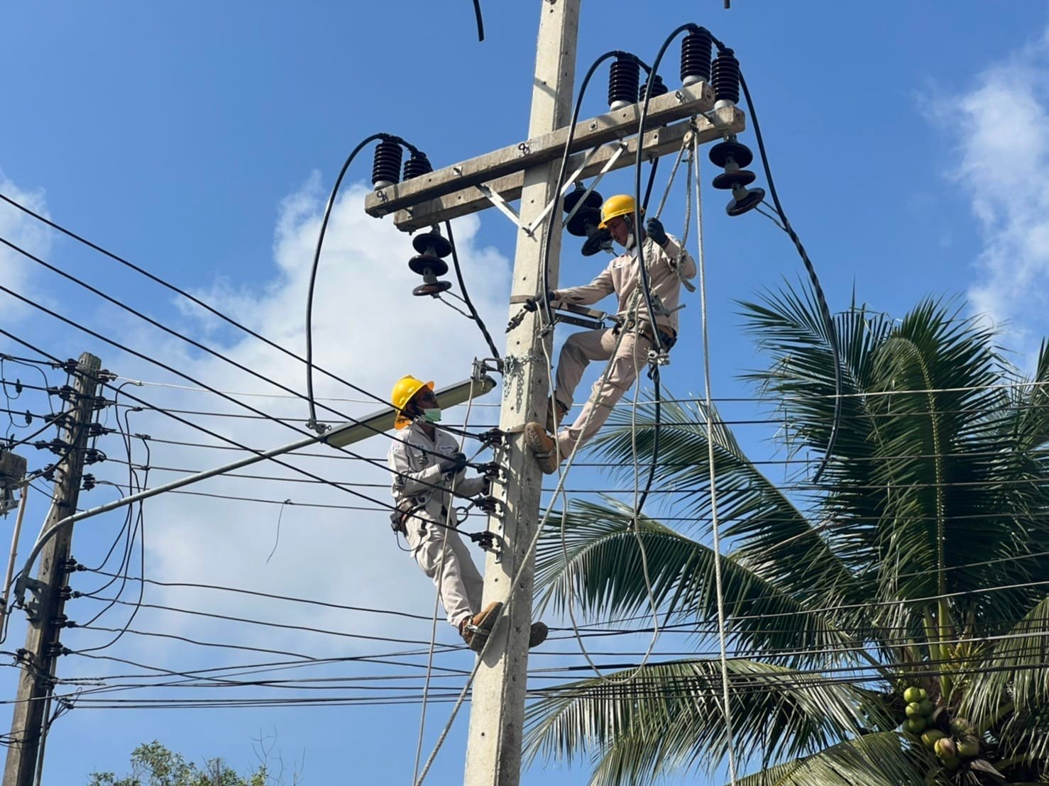 ข่าวราชการ, รัฐวิสาหกิจ - PEA จัดอบรมหลักสูตร การฝึกซ้อมสร้างความตระหนักและทบทวนวิธีการปฏิบัติงานด้วยความปลอดภัย ประจำเดือนมกราคม 2565