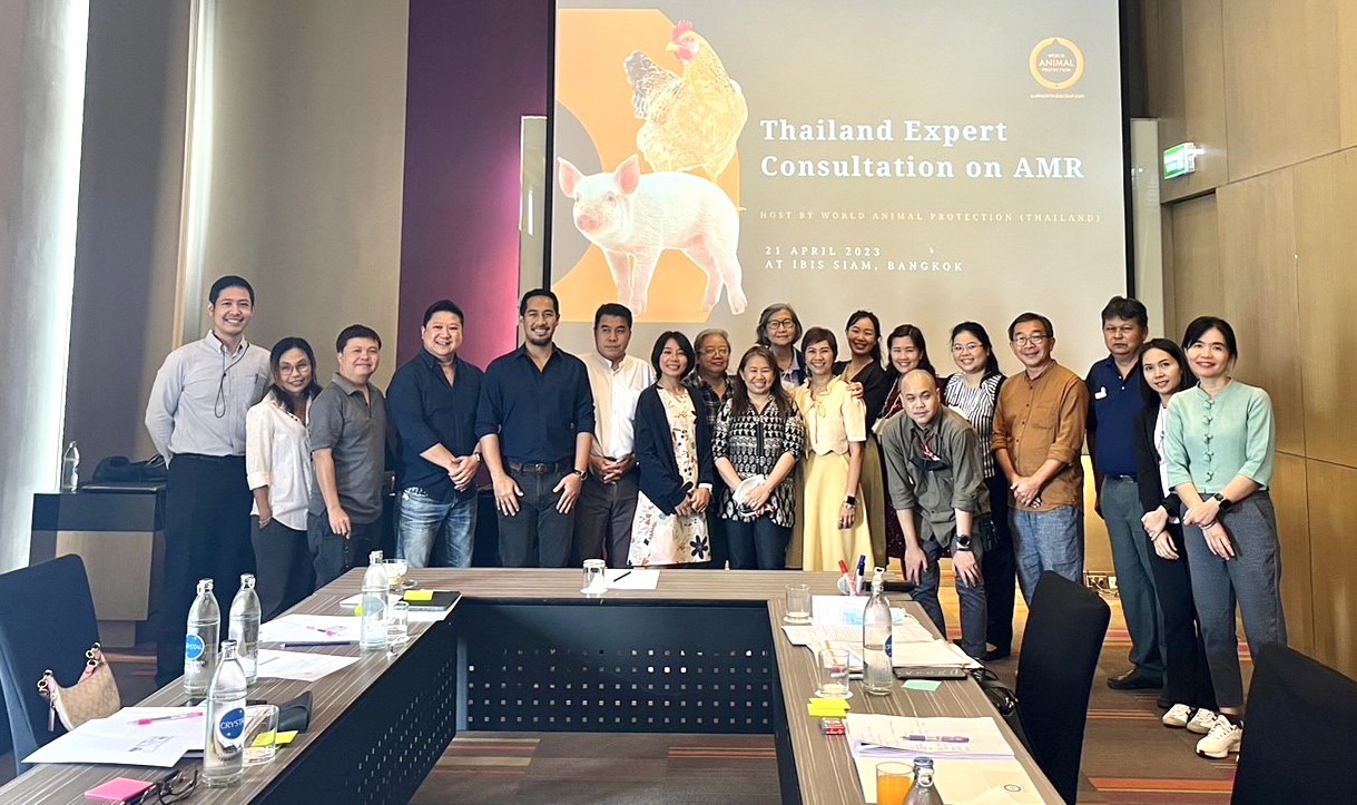 ข่าวพลังงาน, สิ่งแวดล้อม - องค์กรพิทักษ์สัตว์แห่งโลกระดมผู้เชี่ยวชาญ เดินหน้าผลักดันข้อเสนอแนะเชิงนโยบายยุติหายนะเชื้อดื้อยา จากฟาร์มอุตสาหกรรม