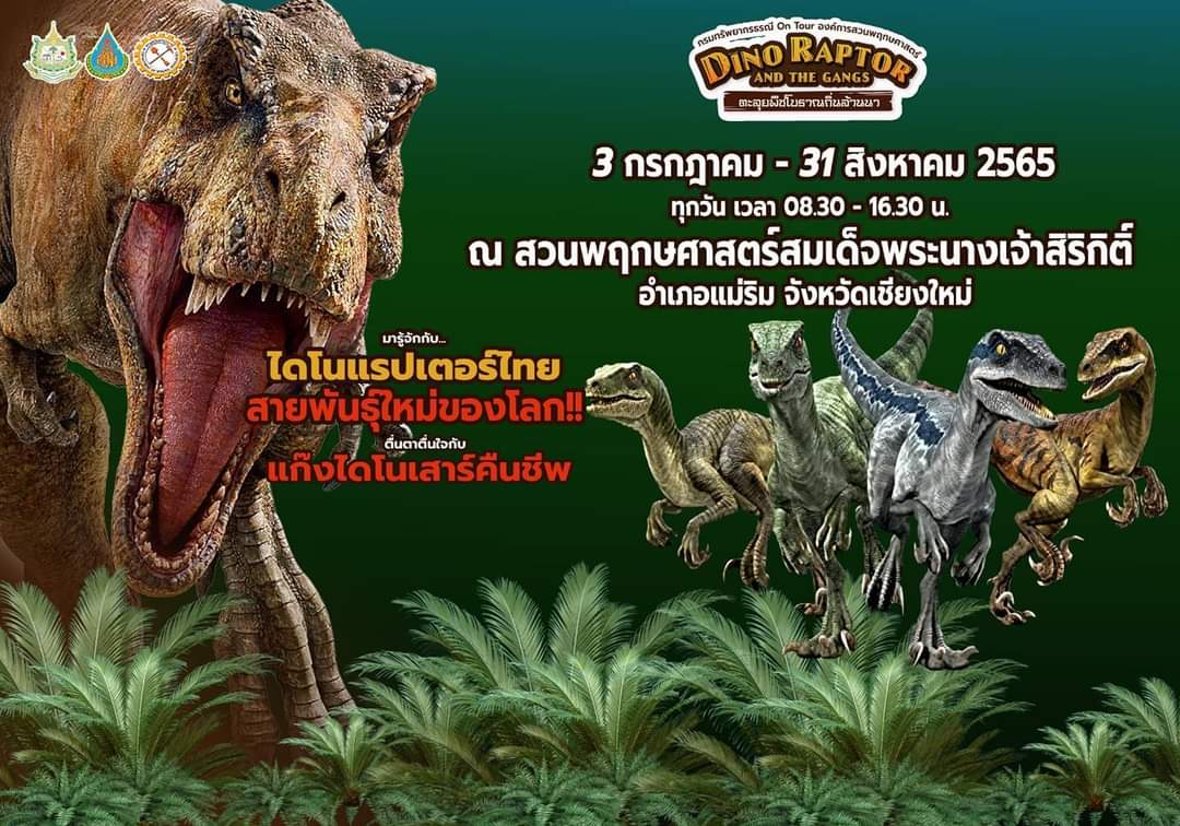 ข่าวท่องเที่ยว - ขอเชิญร่วมย้อนเวลาสู่ยุคดึกดำบรรพ์ ในงาน ไดโนแรปเตอร์ แอนด์ เดอะแก๊งค์ ตะลุยพืชโบราณถิ่นล้านนา