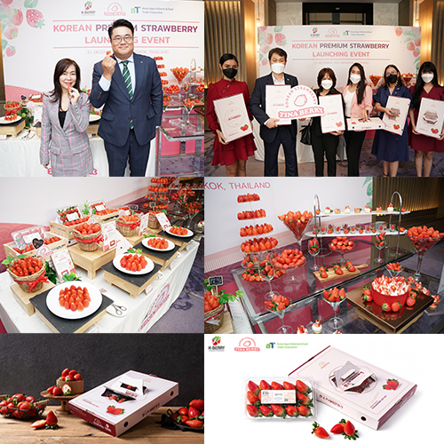 ข่าวงานอีเว้นท์ - สตรอว์เบอร์รี่เกาหลี เกรดพรีเมี่ยม เปิดตัวครั้งแรกในประเทศไทย  Tina Strawberry