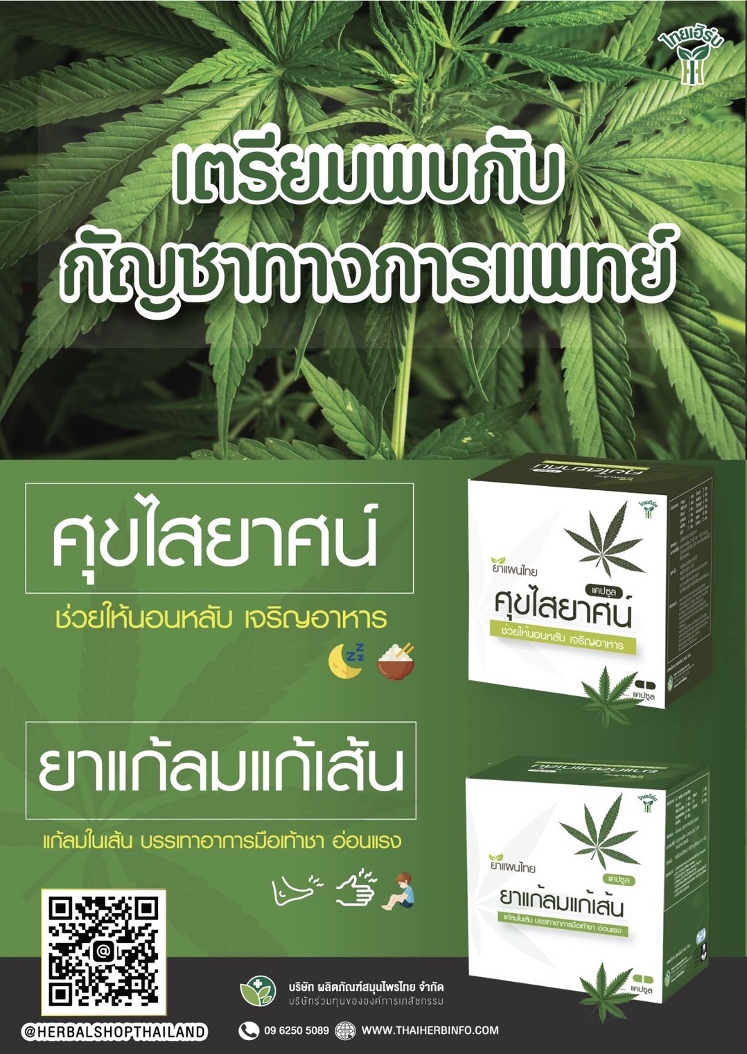 ข่าวสินค้า, บริการ - ไทยเฮิร์บ เตรียมเปิดตัว ผลิตภัณฑ์จาก กัญชา 