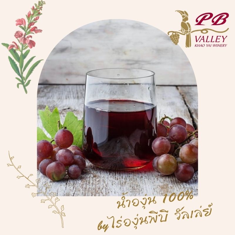 ข่าวอาหาร, เครื่องดื่ม - ประโยชน์ด้านสุขภาพที่อันน่าอัศจรรย์ของน้ำองุ่น by ไร่องุ่นพีบี วัลเล่ย์