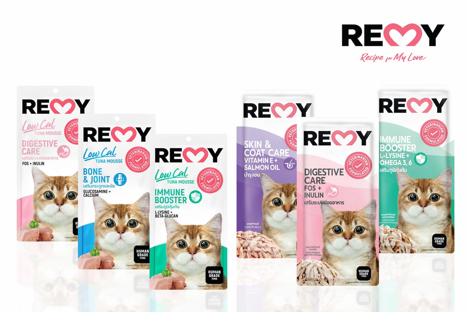 ข่าวสัตว์เลี้ยง - ใหม่ เรมี่(Remy) อาหารแมวเพื่อสุขภาพดี เหมือนมี คุณหมอ คอยป้อนและดูแลอยู่ที่บ้าน