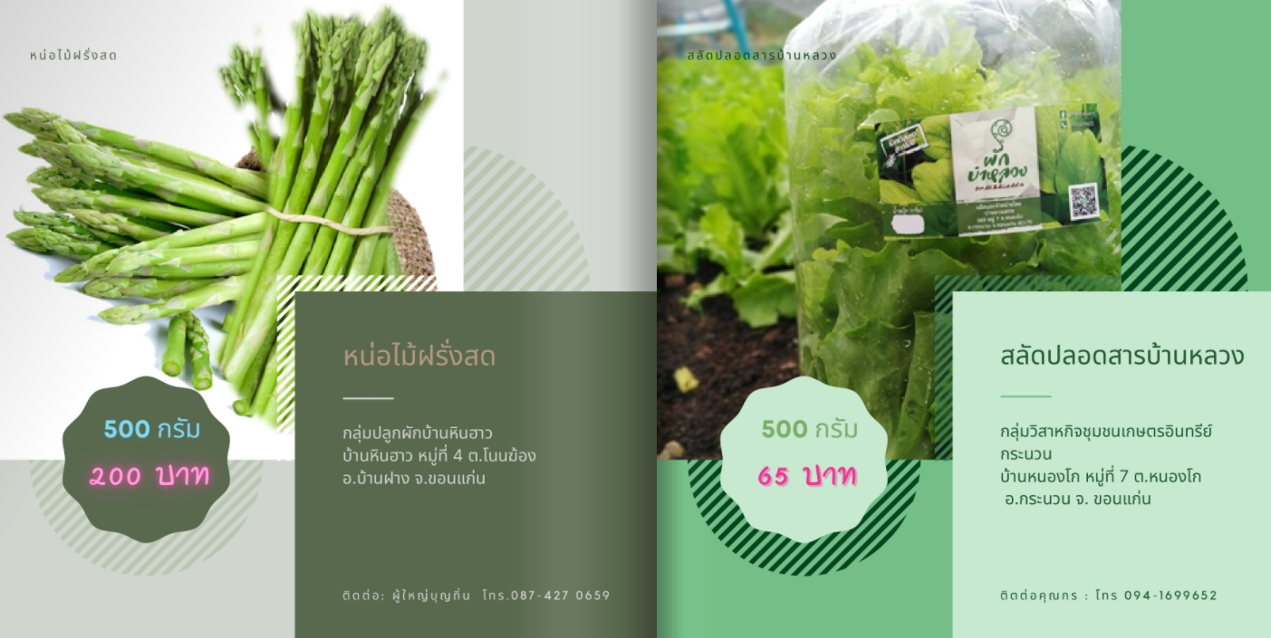 ข่าวอาหาร, เครื่องดื่ม - E-Catalog ผักไมซ์ของจังหวัดขอนแก่น มาแล้ว