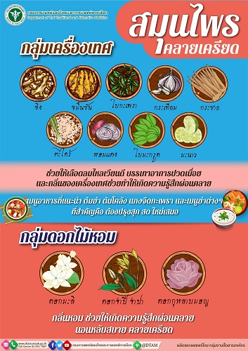 ข่าวสุขภาพ - กรมการแพทย์แผนไทยฯ แนะ กลิ่นบำบัด จากพืช ผักริมรั้ว และ ยาสมุนไพร คลายเครียด