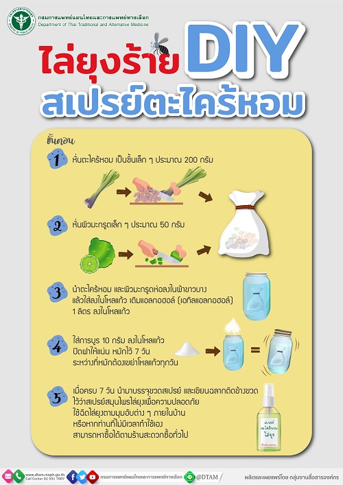 ข่าวสุขภาพ - แพทย์แผนไทย แนะวิธีการทำสเปรย์ตะไคร้หอม DIY สกัดกั้นโรคไข้เลือดออกช่วงฤดูฝน 